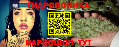 СК Мариинск