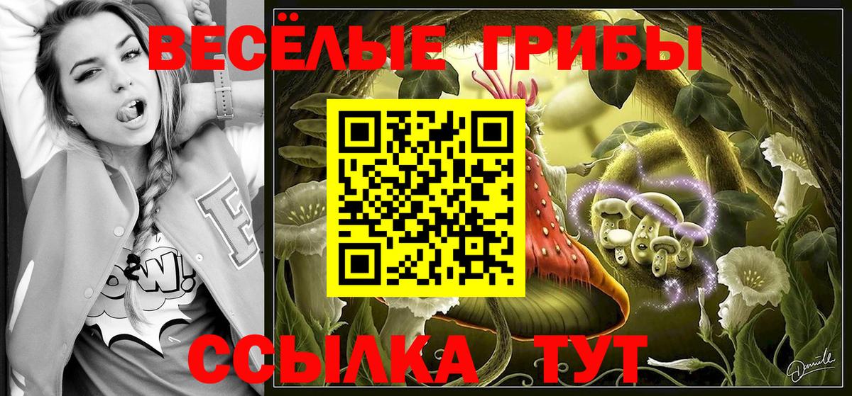 Галлюциногенные грибы GOLDEN TEACHER  Вход с VPN  Галлюциногенные грибы мицелий  Углич 