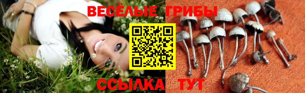 Псилоцибиновые грибы мухоморы Углич