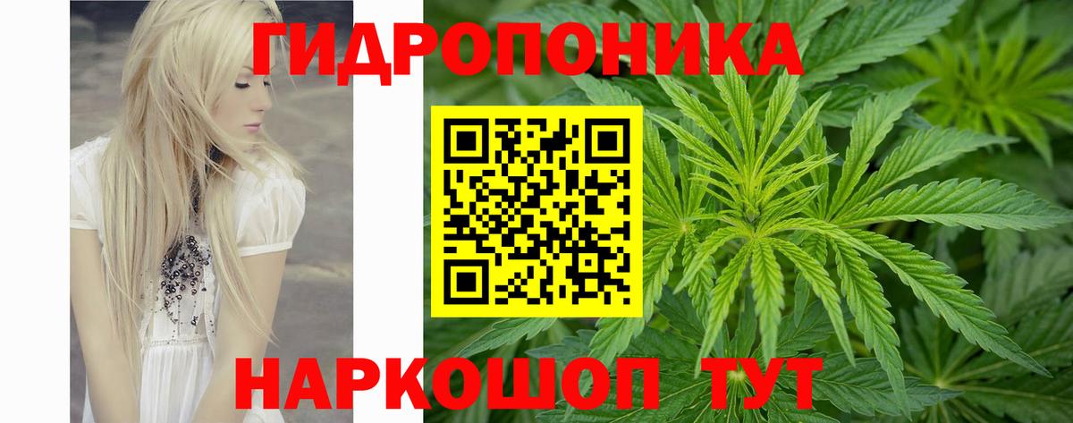 Шишки марихуана ГИДРОПОН Углич